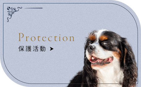 bnrhalf01_protection